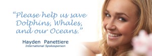 Hayden Panettiere salva le balene e i delfini